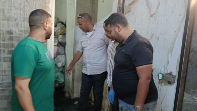  محافظة الجيزة تضبط 8 أطنان من اللحوم والأحشاء الفاسدة بالعمرانية