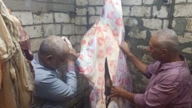 حملات رقابية على محال الجزارة بسمالوط.. ضبط بقرة مذبوحة وأختام مزورة