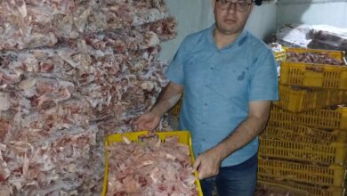 ضبط 28 طن لحوم وأغذية فاسدة و36 ألف زجاجة مشروبات طاقة مجهولة المصدر بالجيزة