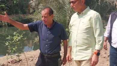 محافظ الجيزة: زراعة ٣٣٥٠ شجرة بأبو النمرس ضمن مبادرة «ازرع شجرة»