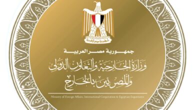 اتصال هاتفي بين وزير الخارجية ونائب رئيس دولة فلسطين