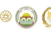 اعتبارًا من غد الخميس 6 أغسطس 2026..بدء طرح السكر الحر بسعر 25 جنيهًا للكيلو بدلًا من 28 جنيهًا