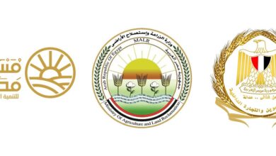 اعتبارًا من غد الخميس 6 أغسطس 2026..بدء طرح السكر الحر بسعر 25 جنيهًا للكيلو بدلًا من 28 جنيهًا