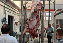 محافظ سوهاج يعلن بدء التشغيل التجريبي لمجزر أخميم بتكلفة 38 مليون جنيه