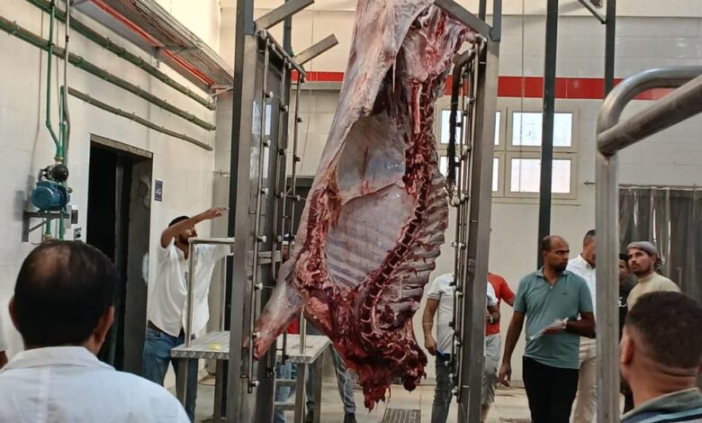 محافظ سوهاج يعلن بدء التشغيل التجريبي لمجزر أخميم بتكلفة 38 مليون جنيه