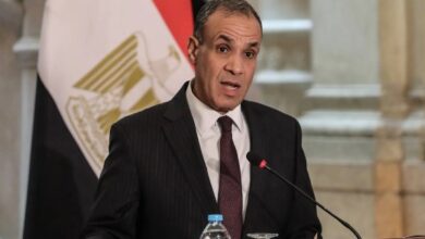 عبد العاطي: مصر ملتزمة بكامب ديفيد وتحمي مصالحها