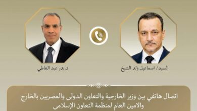 عبد العاطي يهنئ أمين «التعاون الإسلامي» الجديد