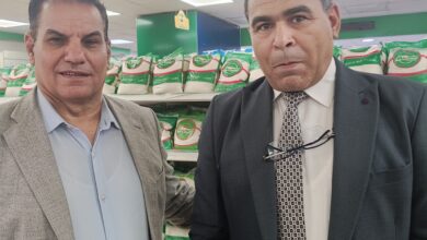 توفير حلوى المولد في 288 مجمعًا استهلاكيًا بالقاهرة
