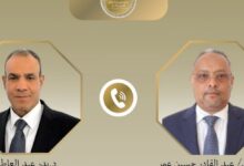 وزير الخارجية يبحث هاتفياً مع نظيره الجيبوتي سبل تعزيز العلاقات الثنائية 