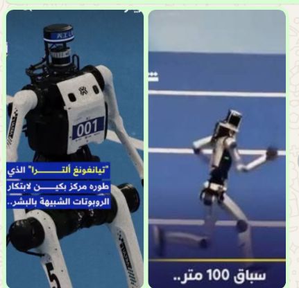 الفائز بسباق الجرى فى بطولة العالم للروبوتات بالصين