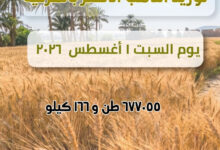 صوامع محافظة الشرقية تنتهي من توريد ٦٧٧٠٥٥ قمح  محلي