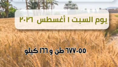 صوامع محافظة الشرقية تنتهي من توريد ٦٧٧٠٥٥ قمح  محلي