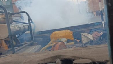 محافظ الشرقية: تكثيف حملات رش الناموس والحشرات الطائرة بكافة المراكز