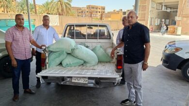 ضبط نصف طن دقيق بلدى مدعم قبل بيعه بالسوق السوداء فى الأقصر ضبط نصف طن دقيق بلدى مدعم قبل بيعه بالسوق السوداء فى الأقصر