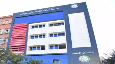 مصرع 3 عمال من اسره واحده اثناء عملهم ببني سويف