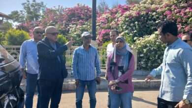 ” محافظ الأقصر” يؤكد على الإنتهاء من المشروعات الجارية قبل بداية الموسم السياحى
