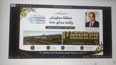 جرس إنذار للمستثمرين المتعثرين.. فسخ تعاقد جزيرة مجاويش