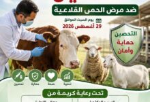 محافظ المنيا: اليوم السبت انطلاق الحملة القومية للتحصين ضد مرض الحمى القلاعية وحمى الوادي المتصدع