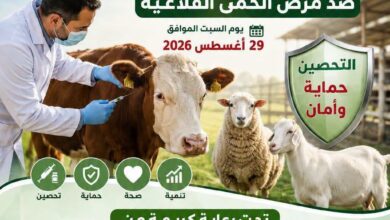 محافظ المنيا: اليوم السبت انطلاق الحملة القومية للتحصين ضد مرض الحمى القلاعية وحمى الوادي المتصدع