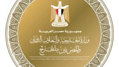 وزارة الخارجية تواصل جهودها للإفراج عن البحارة المصريين المحتجزين قبالة السواحل الصومالية