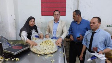 ضبط ٧.٥ طن بطاطس منتهية الصلاحية داخل منشأة غير مرخصة لإعادة التعبئة فى كرداسة