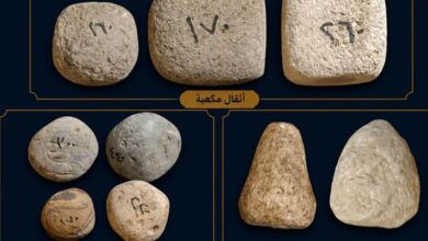بعثة اثرية تكشف حصون عسكرية ترجع الى عصر الدولة الحديثة بالبحيرة بعثة اثرية تكشف حصون عسكرية ترجع الى عصر الدولة الحديثة بالبحيرة