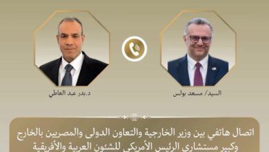إيران والسودان وليبيا على طاولة مصر وأمريكا.. تفاصيل اتصال عبد العاطي ومستشار ترامب