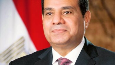 السيسي يلتقي رئيس «أنجلو جولد أشانتي».. ماذا تخطط الشركة لمنجم السكري والتعدين في مصر؟