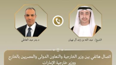 وزيرا خارجية مصر والإمارات يبحثان تطورات المنطقة وأمن الملاحة
