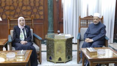 بعد توليها رئاسة النيابة الإدارية.. ماذا بحث شيخ الأزهر مع المستشارة هدى عيسى؟