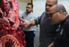 ضبط لحوم مذبوحة خارج المجازر غير صالحة للاستهلاك الآدمى بالعبور