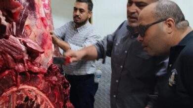 ضبط لحوم مذبوحة خارج المجازر غير صالحة للاستهلاك الآدمى بالعبور