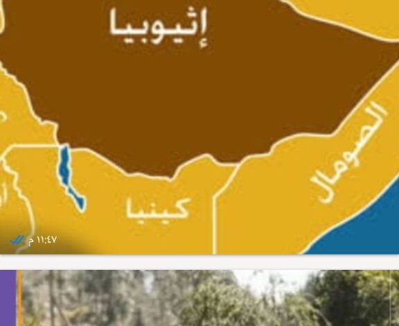ما يجرى فى إثيوبيا الان انذار شديد لأبى أحمد ما يجرى فى إثيوبيا الان انذار شديد لأبى أحمد
