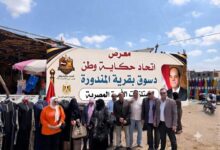 «معًا ضد الغلاء» في المندورة.. «حكاية وطن» تطلق معرضًا شاملًا لتخفيف الأعباء عن أهالي دسوق