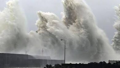 اليابان تعلن إلغاء أكثر من 520 رحلة جوية ..بسبب إعصار دوجوان
