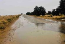 المطر في سيناء.. حين تبتسم السماء للأرض