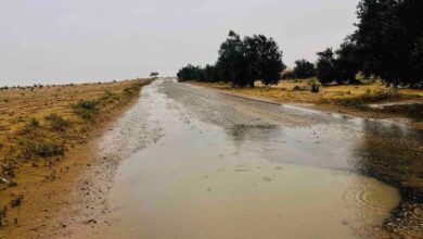 المطر في سيناء.. حين تبتسم السماء للأرض