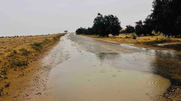 المطر في سيناء.. حين تبتسم السماء للأرض المطر في سيناء.. حين تبتسم السماء للأرض