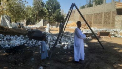 إزالة 16حالة تعد على الأراضى أملاك الدولة جنوب الأقصر وفقاً للموجة 30
