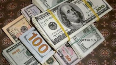 سعر الدولار اليوم بعد آخر تراجع في البنوك.. استقرار أمام الجنيه