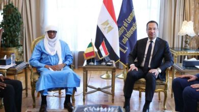 وزير الاتصالات يبحث مع نظيره المالي تعزيز التعاون في التحول الرقمي والبنية التحتية الرقمية