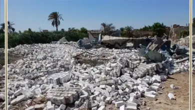 وقف وإزالة 30 حالة تعدٍ على الرقعة الزراعية في بني سويف