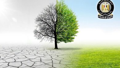مصر تستضيف مؤتمر الأمم المتحدة لمكافحة التصحر 2028 بإجماع الدول