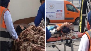 التضامن الاجتماعي.. التدخل السريع بالإسماعيلية ينقذ مسنة من العنف
