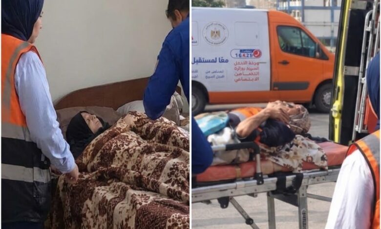 التضامن الاجتماعي.. التدخل السريع بالإسماعيلية ينقذ مسنة من العنف