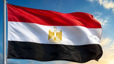 مصر في ذكرى قمة شرم الشيخ للسلام: مواصلة الجهود لتثبيت الهدنة وتحقيق حل الدولتين