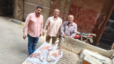 ضبط لحوم وأسماك فاسدة في حملات رقابية بأشمون ومنوف ضبط لحوم وأسماك فاسدة في حملات رقابية بأشمون ومنوف