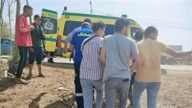 إصابة 9 أشخاص في تصادم ربع نقل وميني باص بطريق القاهرة – الفيوم الصحراوي