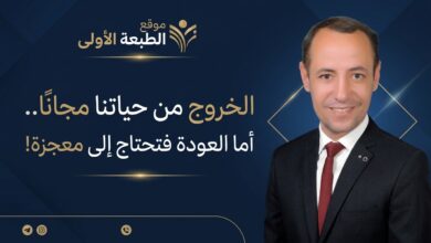 الخروج من حياتنا مجانا.. اما العودة فتحتاج الى معجزة
