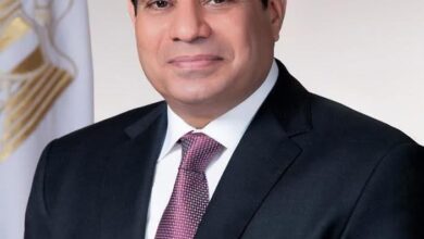 السيسي يغادر سول إلى كوالالمبور.. ثاني محطات جولته الآسيوية